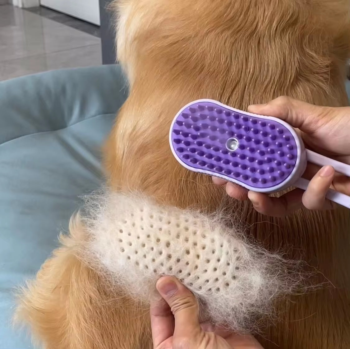 Electric Pet Spray Comb for Cats and Dogs - One-Key Spray Hair Removal and Massage Brush