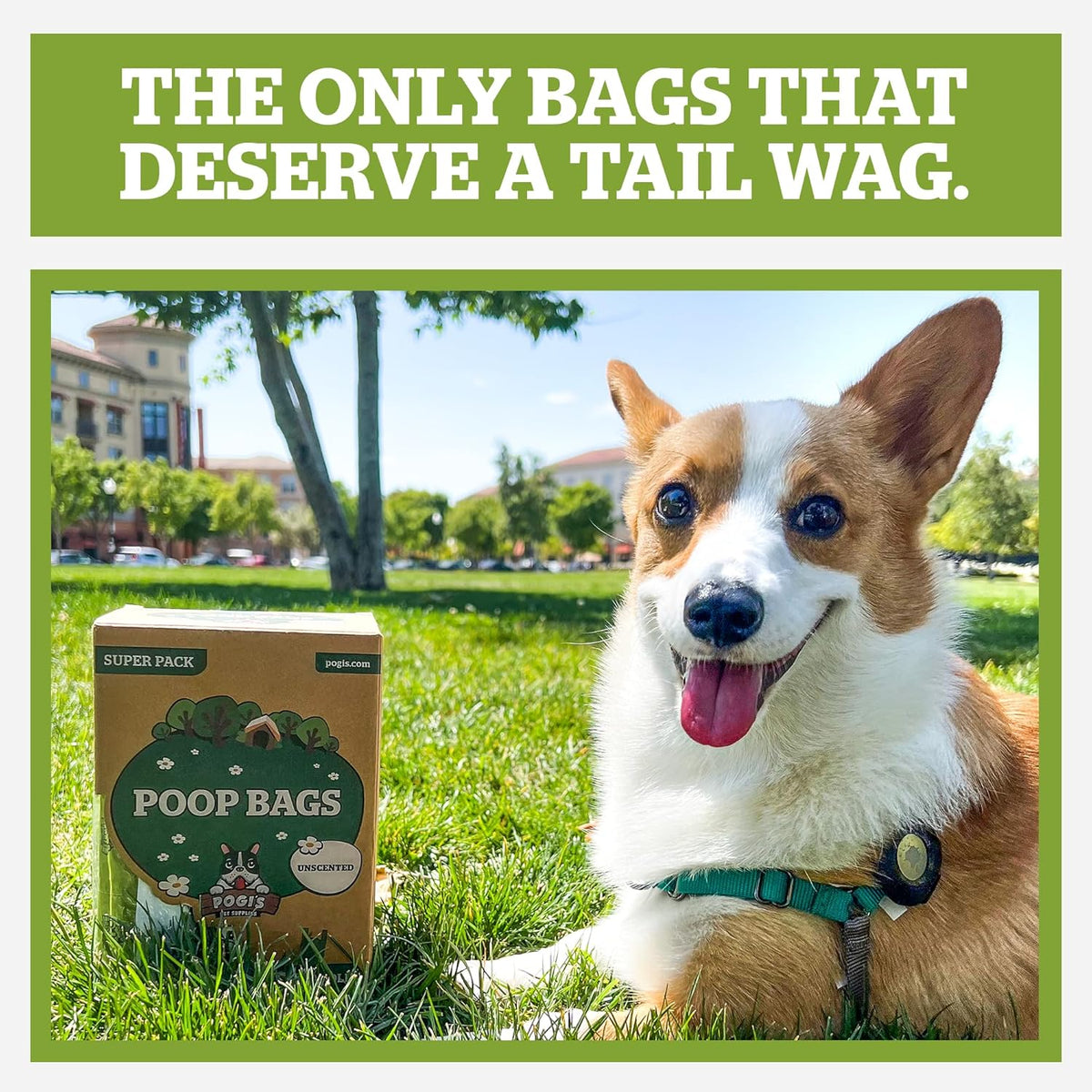 Pogi's Premium Dog Waste Bags with Handles – Extra-Thick, Leak-Proof, Large Size, Fresh Scent, 900-Count
